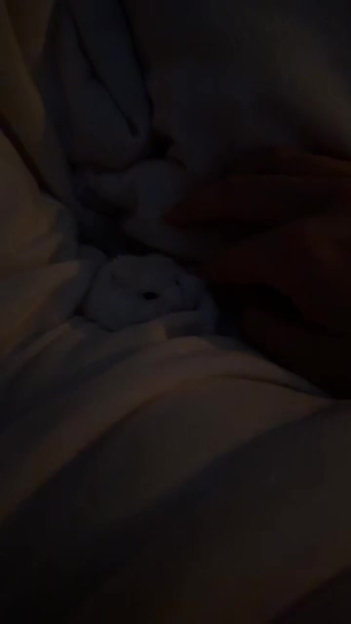 @faye