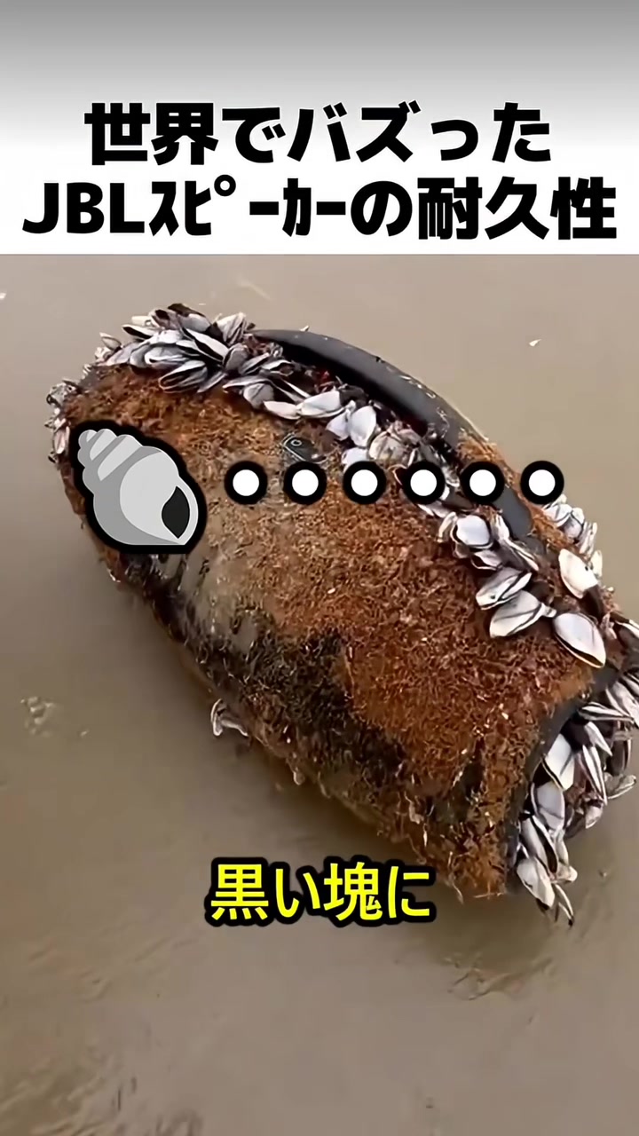 @user35036009126341