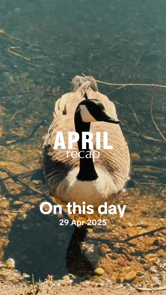 @Annii ❌🏴🇬🇧