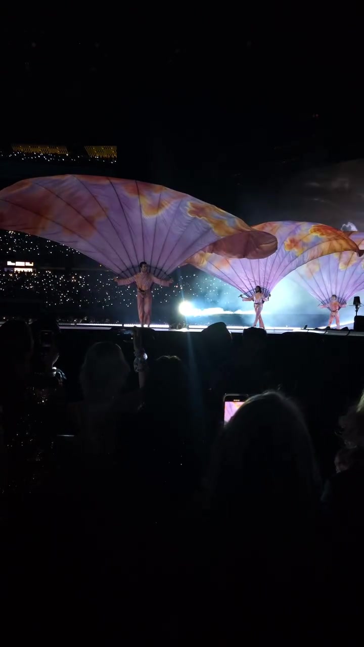 @𓂃꙳⋆videos from the eras tour