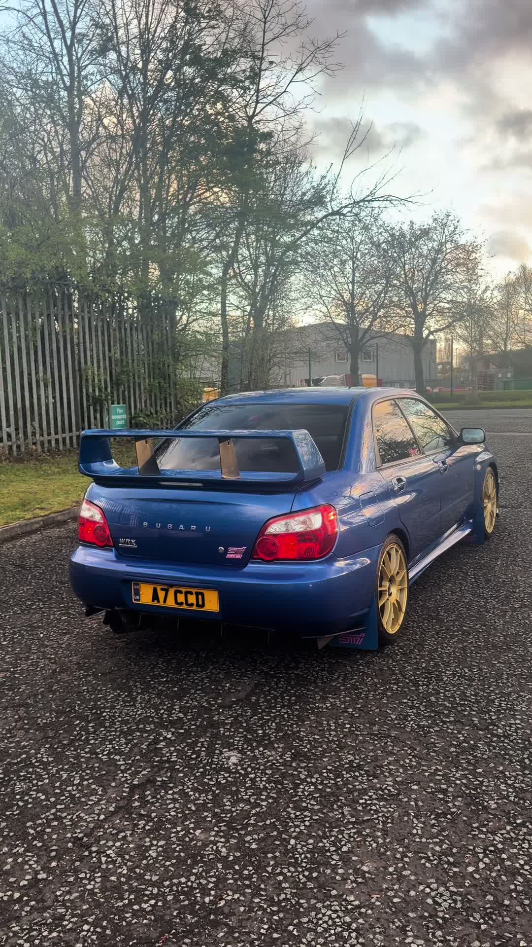 @Daly.Subie 🎌