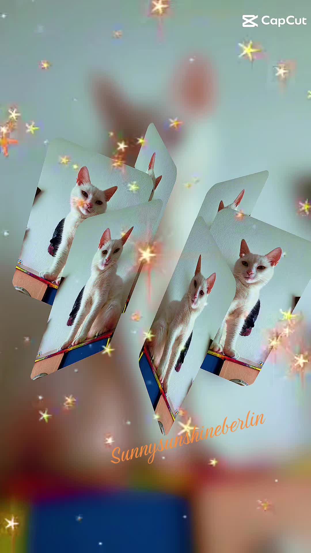 @Sunnysunshine