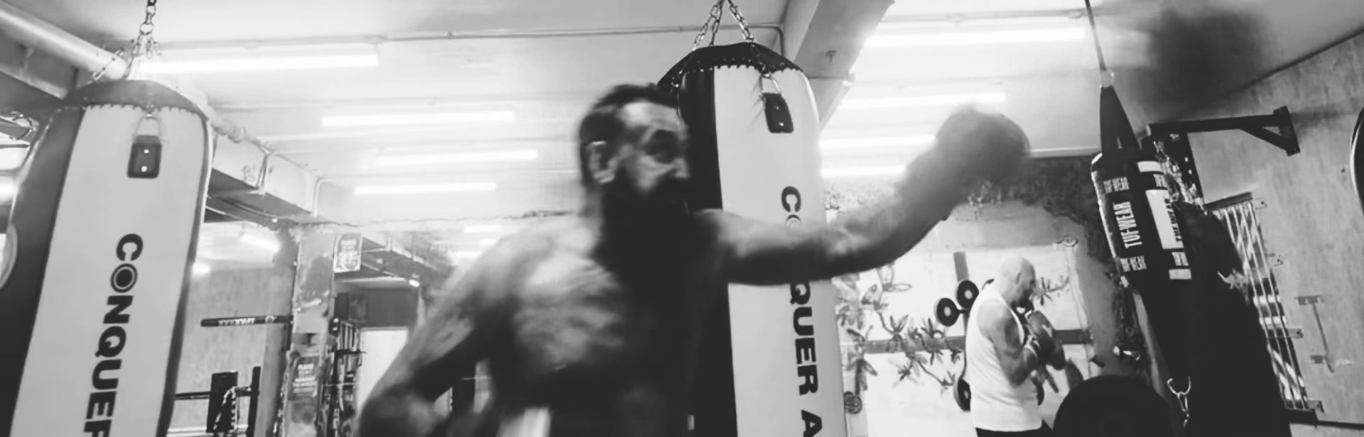@mikehadley boxer