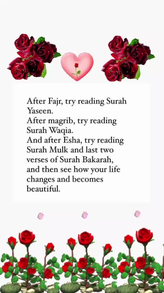 @Zarqa Imran Official