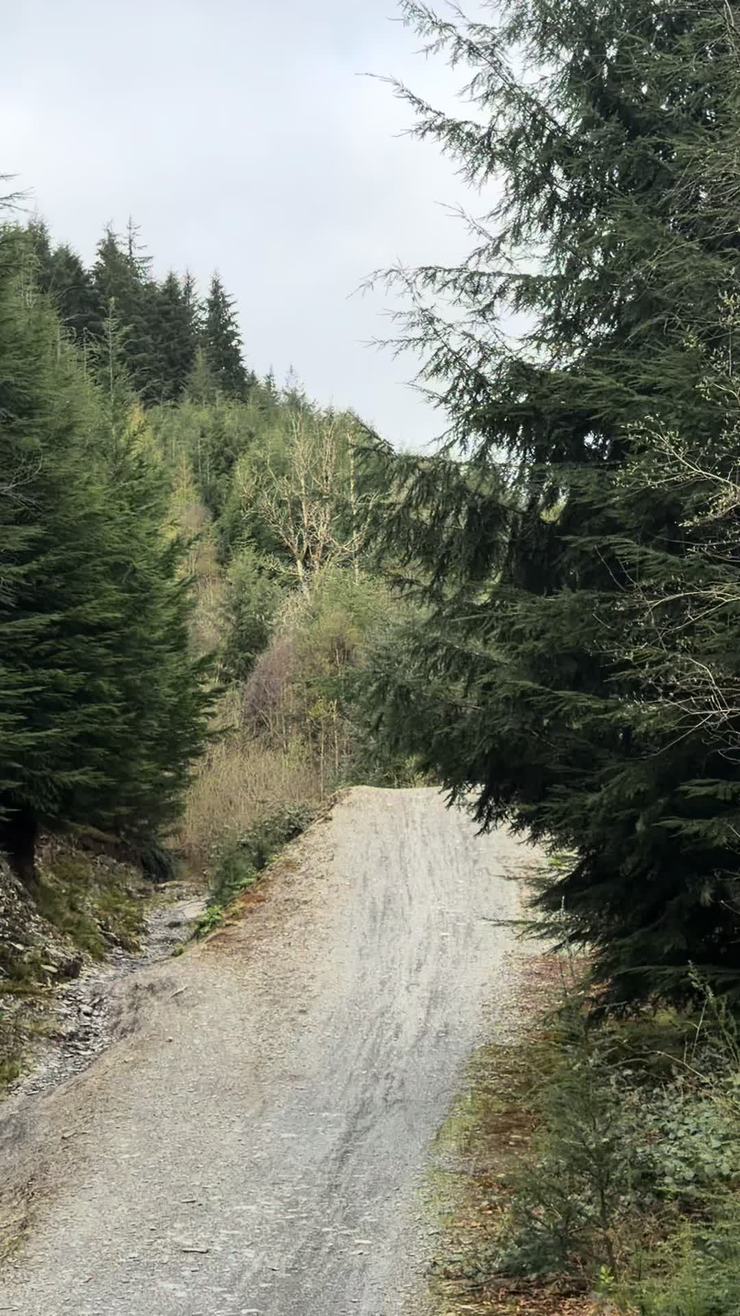 @MTB_Ollie16