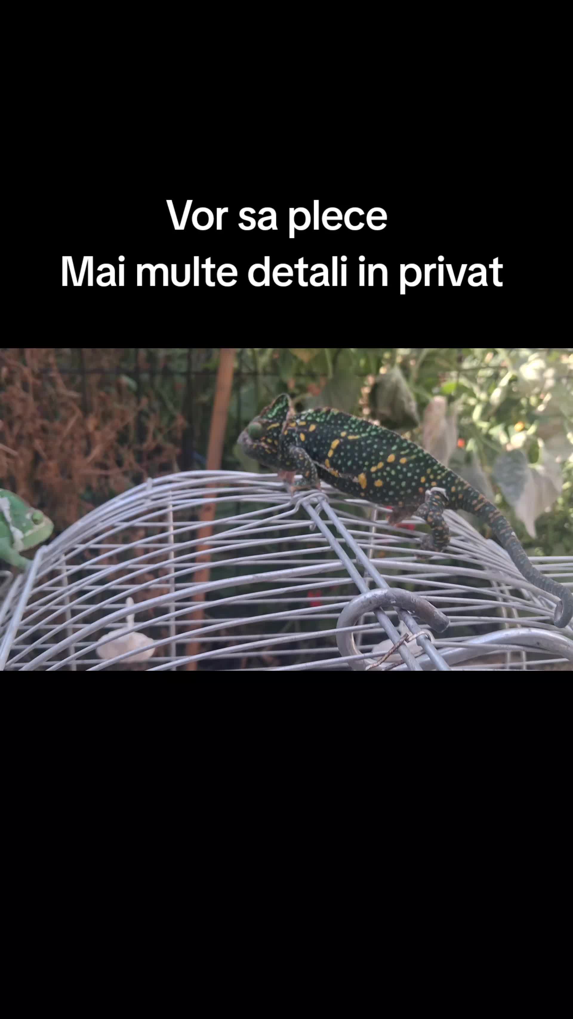 @Valentyn Valy