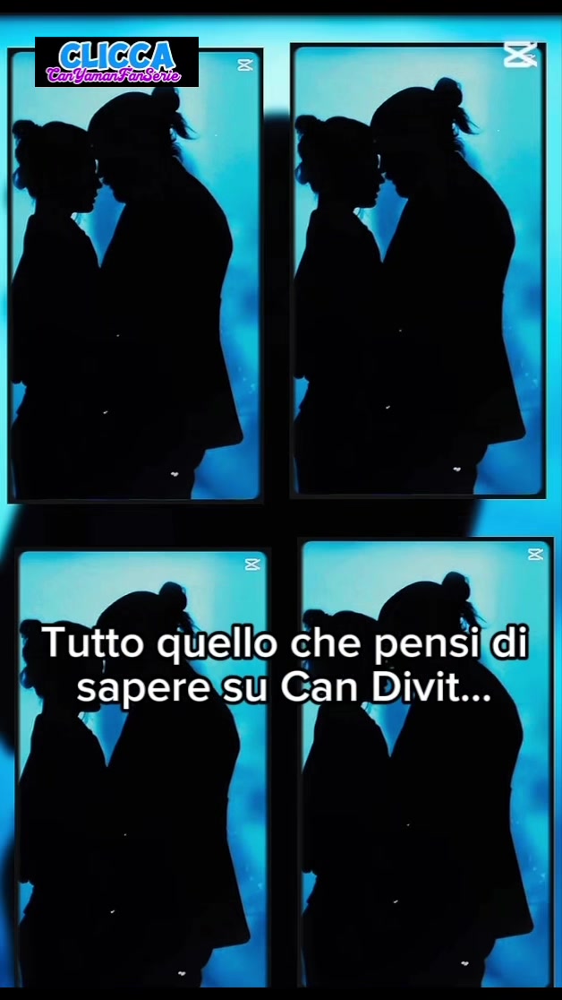 @C.Y.FanSerie_italia