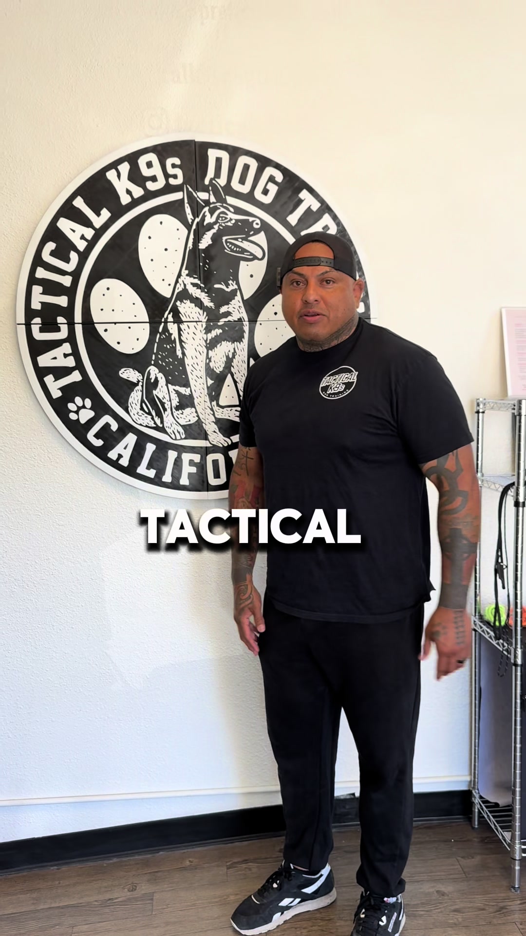 @Tactical K9s Dog Training