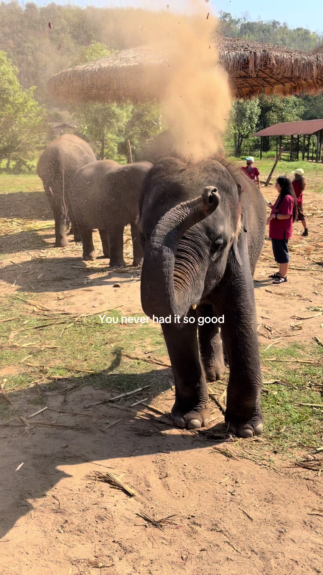 @Abi