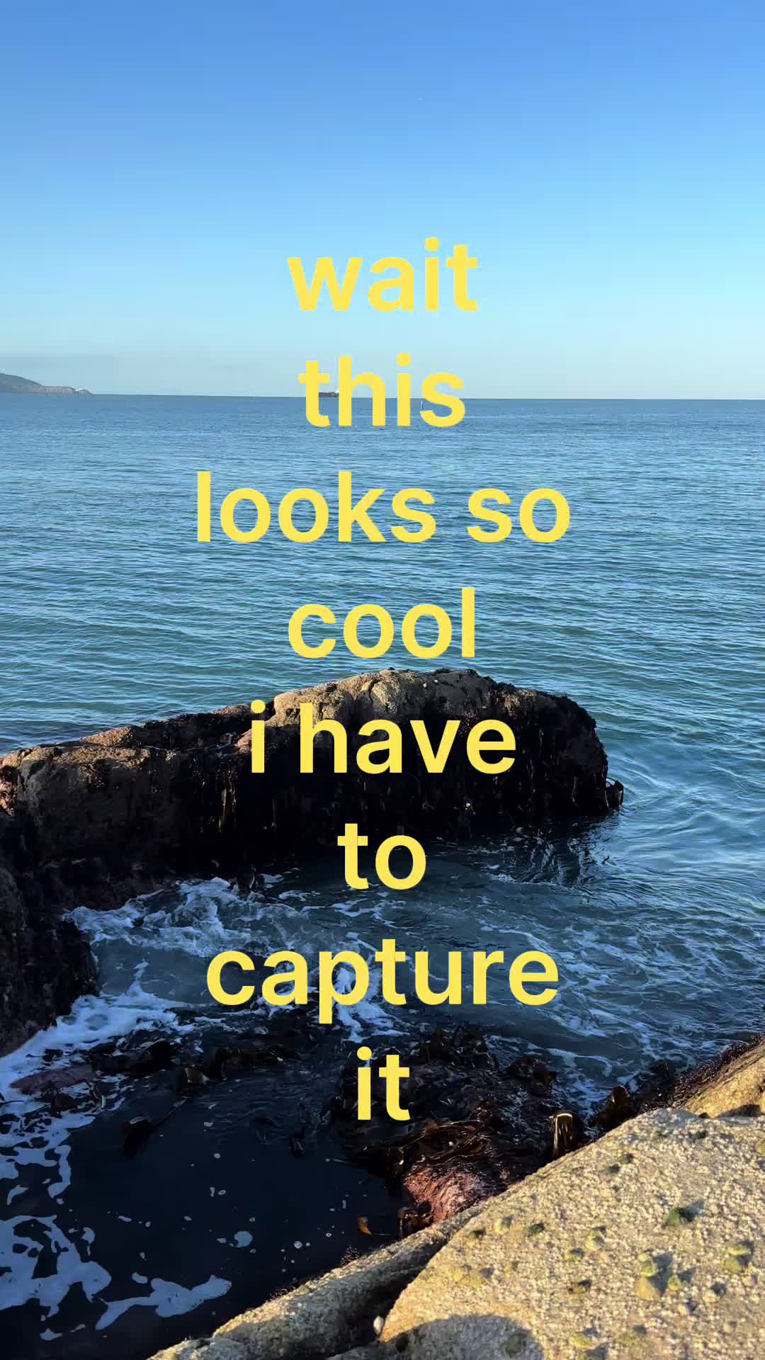 @Malwina Zajac