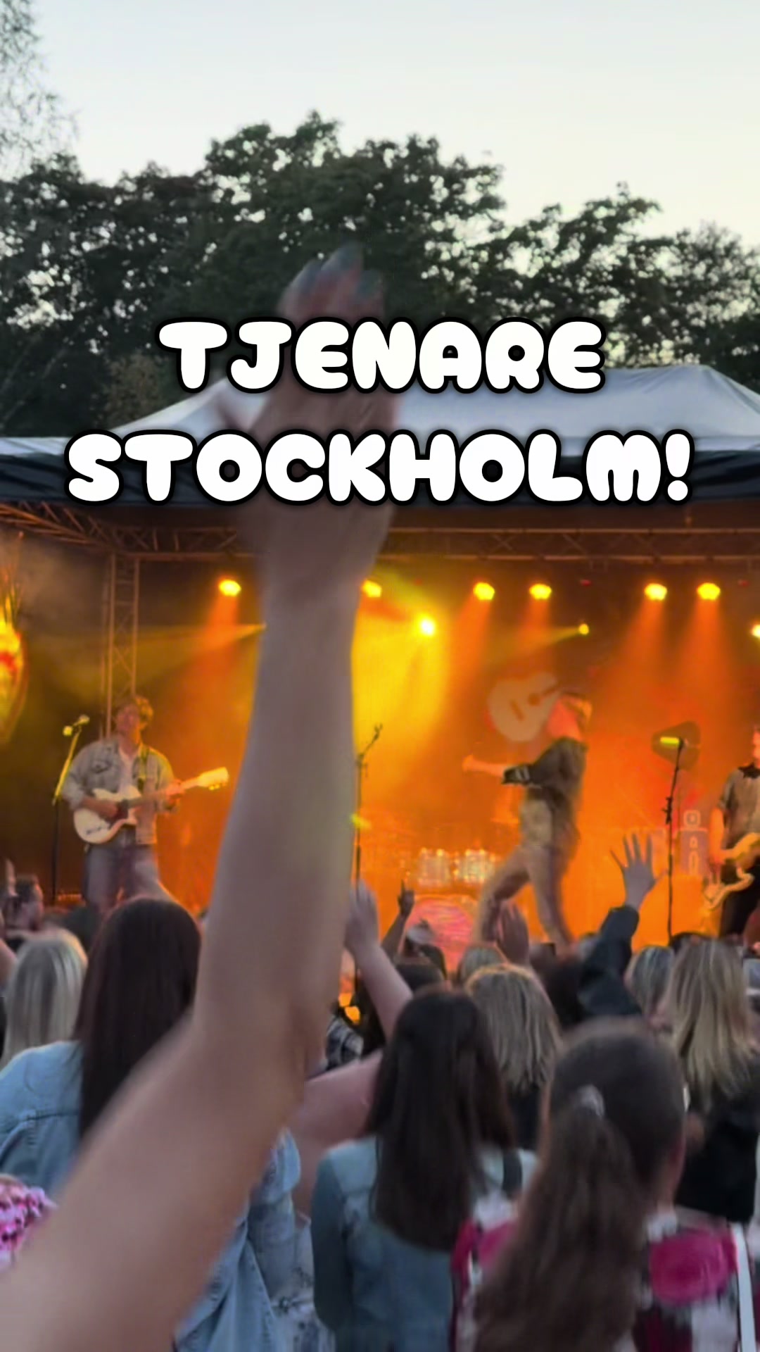 @Emil Assergård