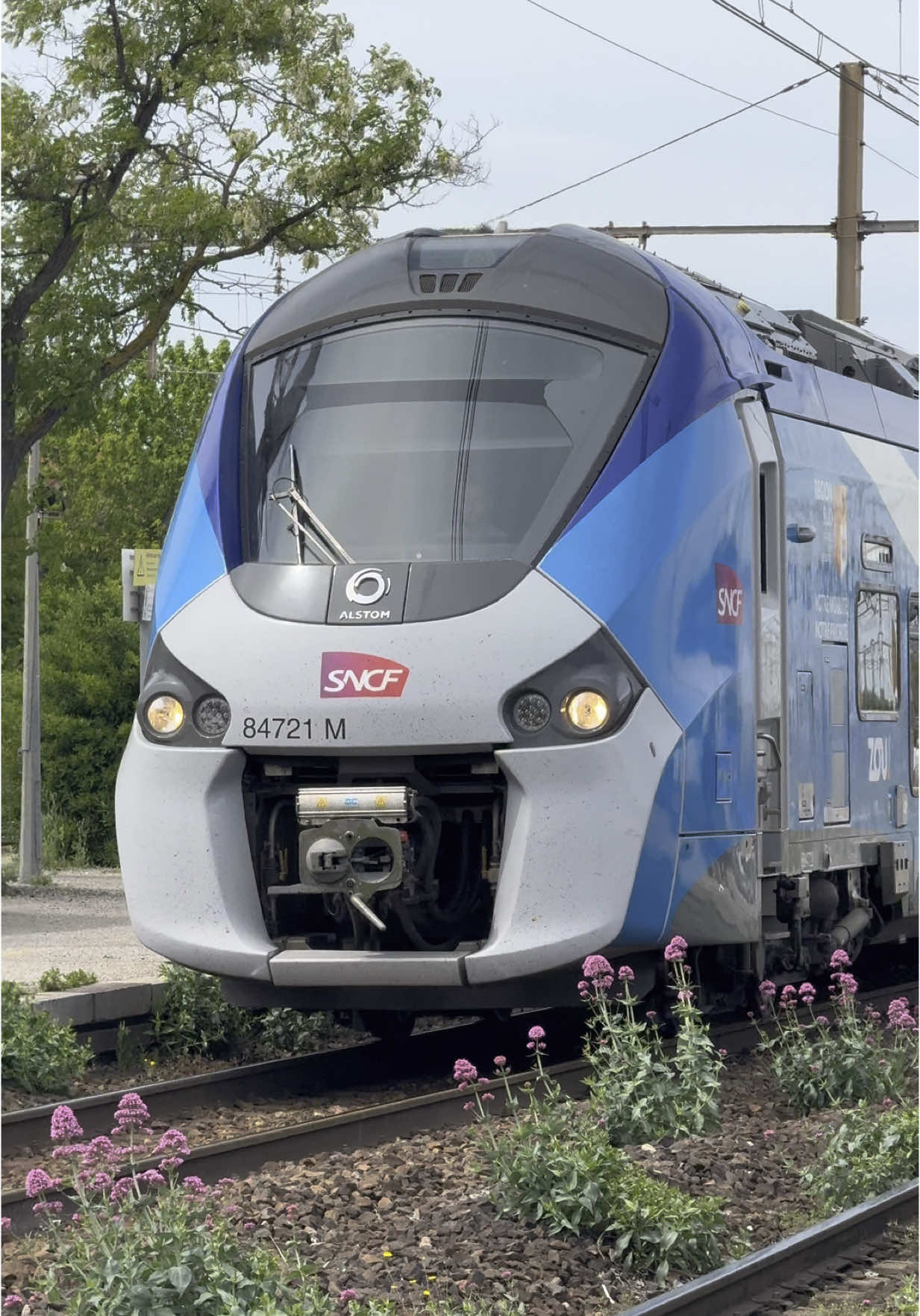 @Passions.Train