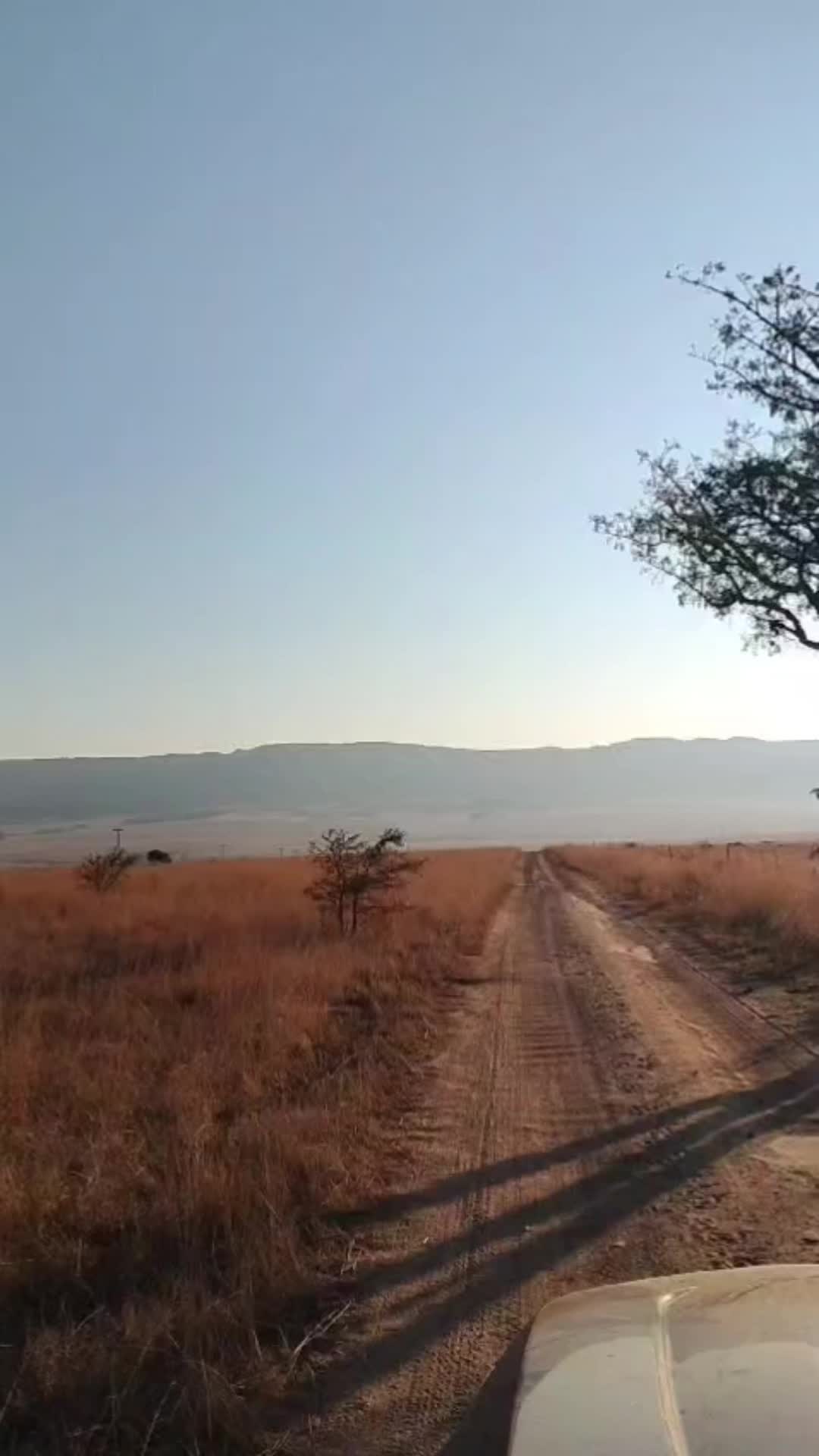 @Stefan Potgieter478