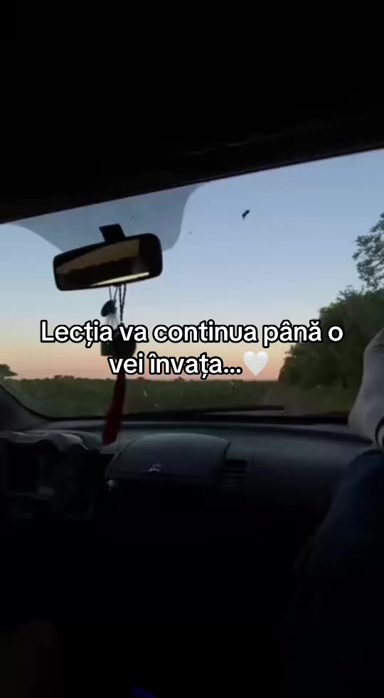 @Damy🦅🐊