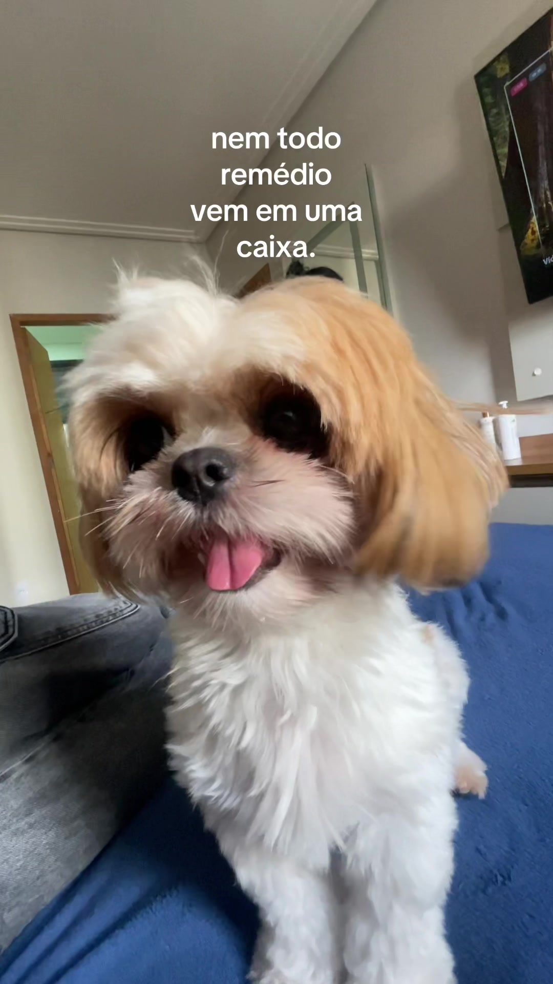 @Sarinhaa