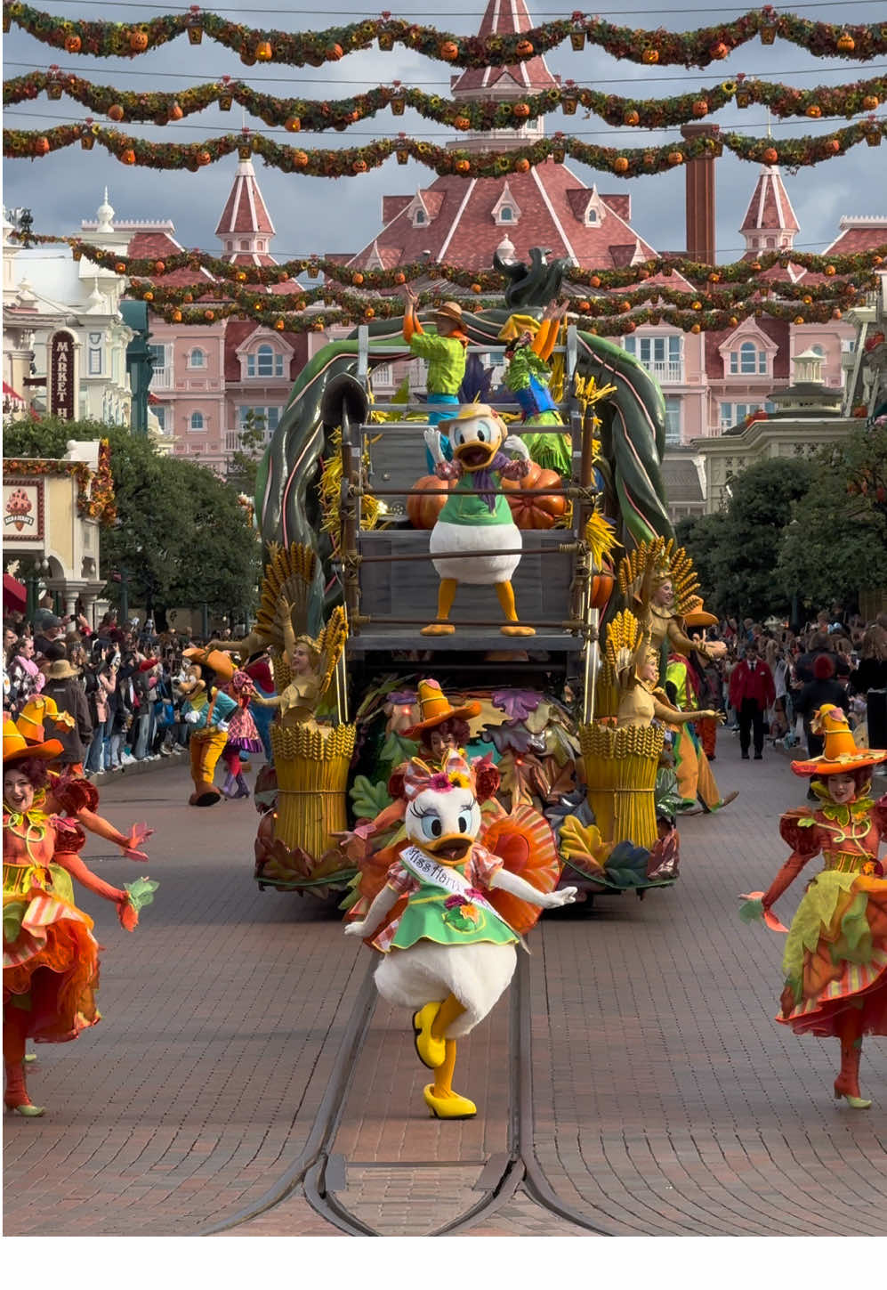 @Backtodisneyland