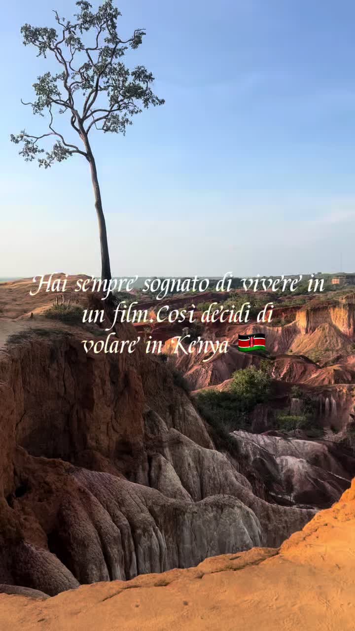 @Marisa Piccione