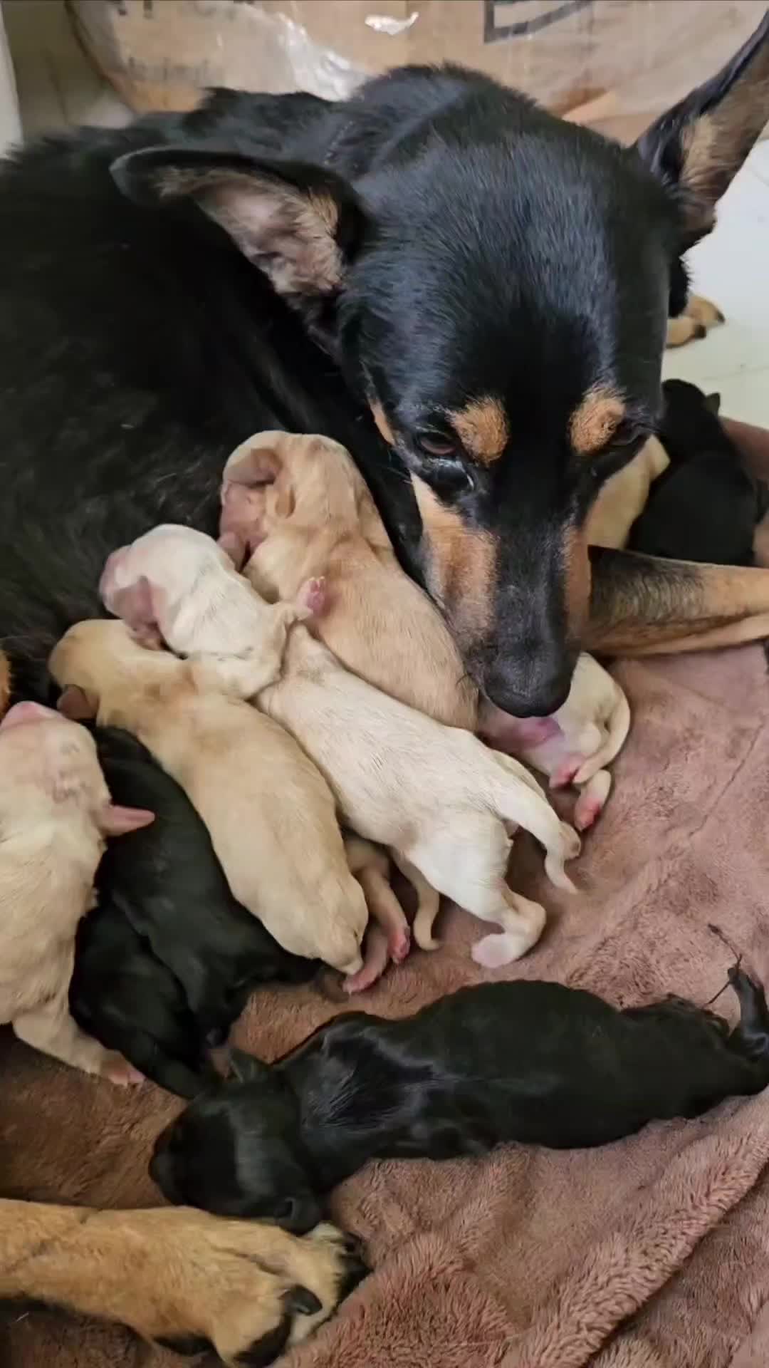 @ThisIsRealMama