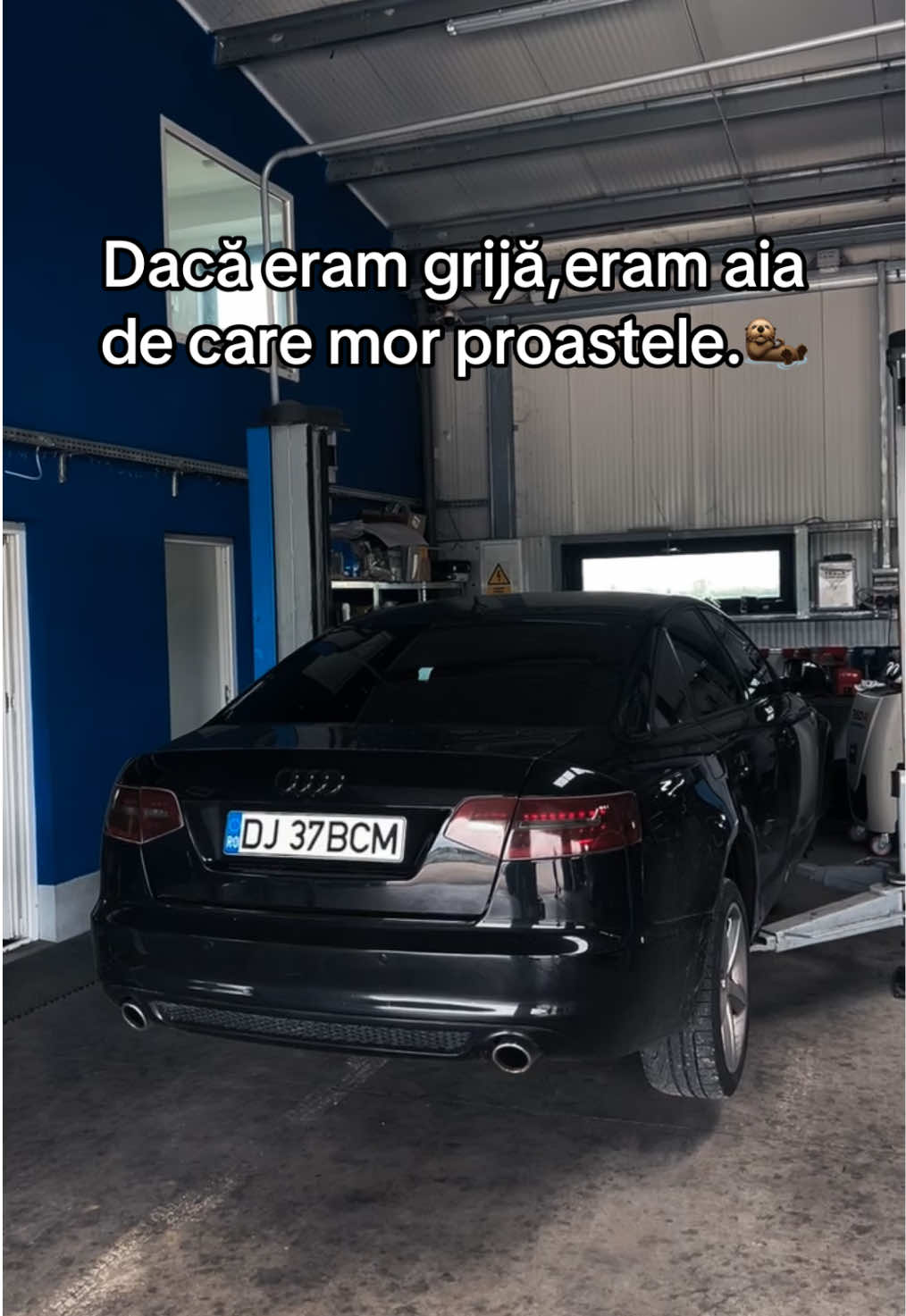 @stefii.scm