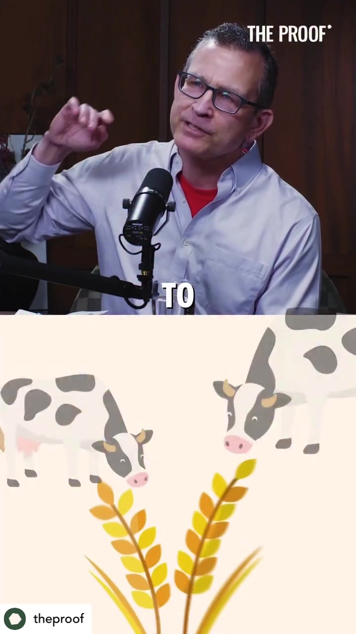 @KTD1713