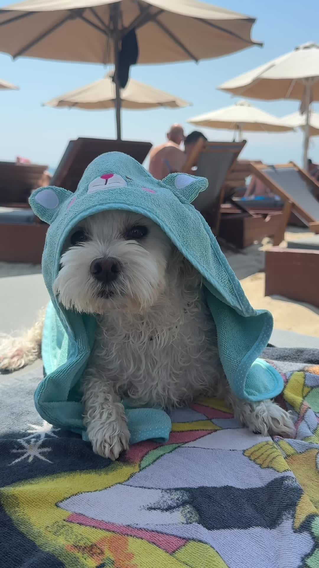 @Stella 🐾 Luki