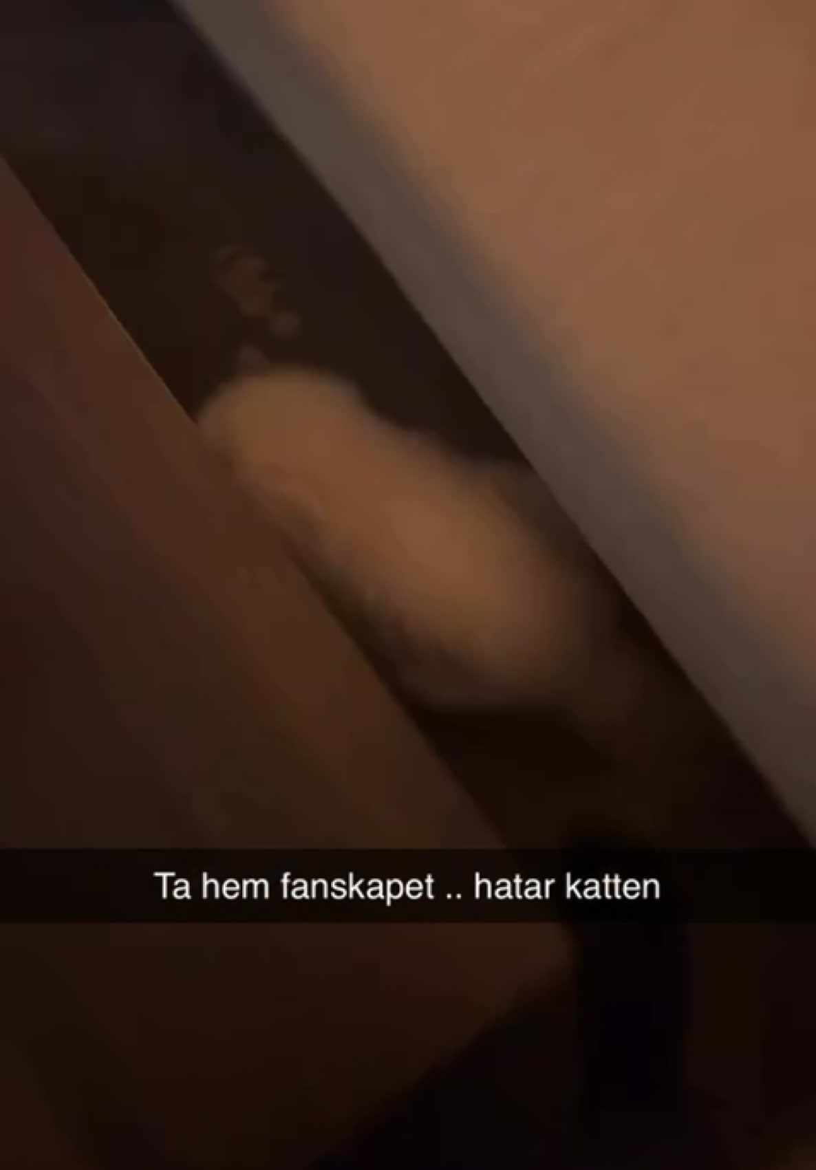 @Ida Larsson
