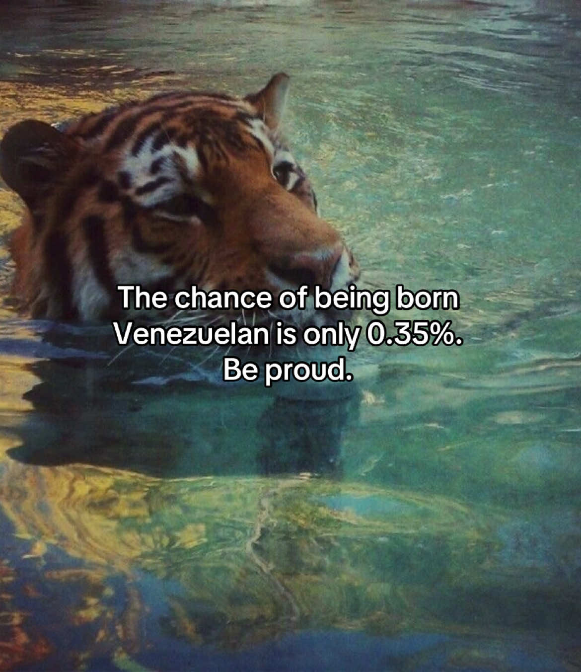 @🇻🇪