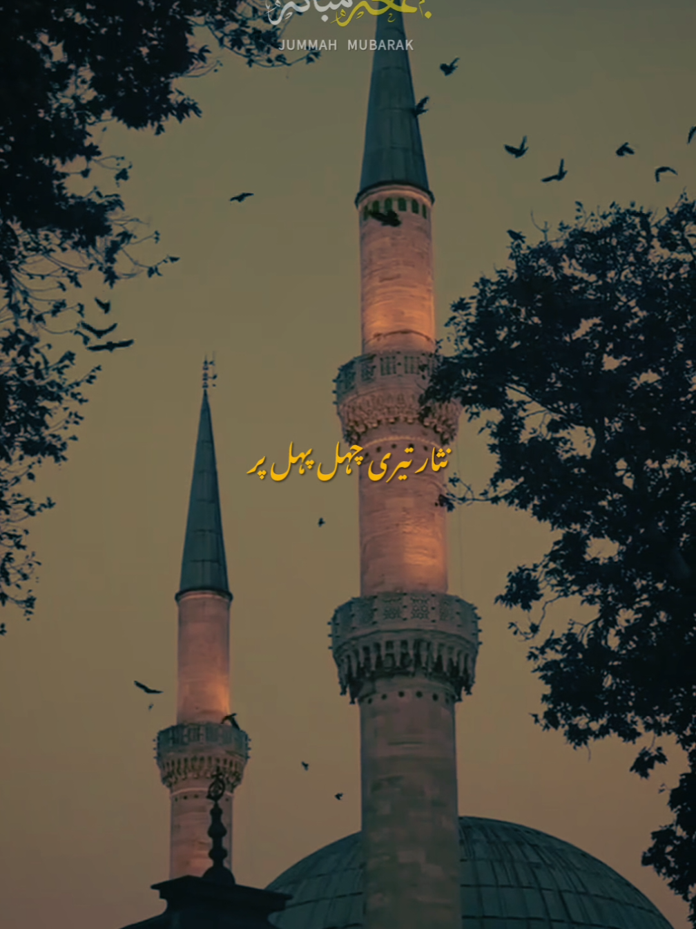 @✨𝙝𝙖𝙢𝙯𝙞𝙞✨