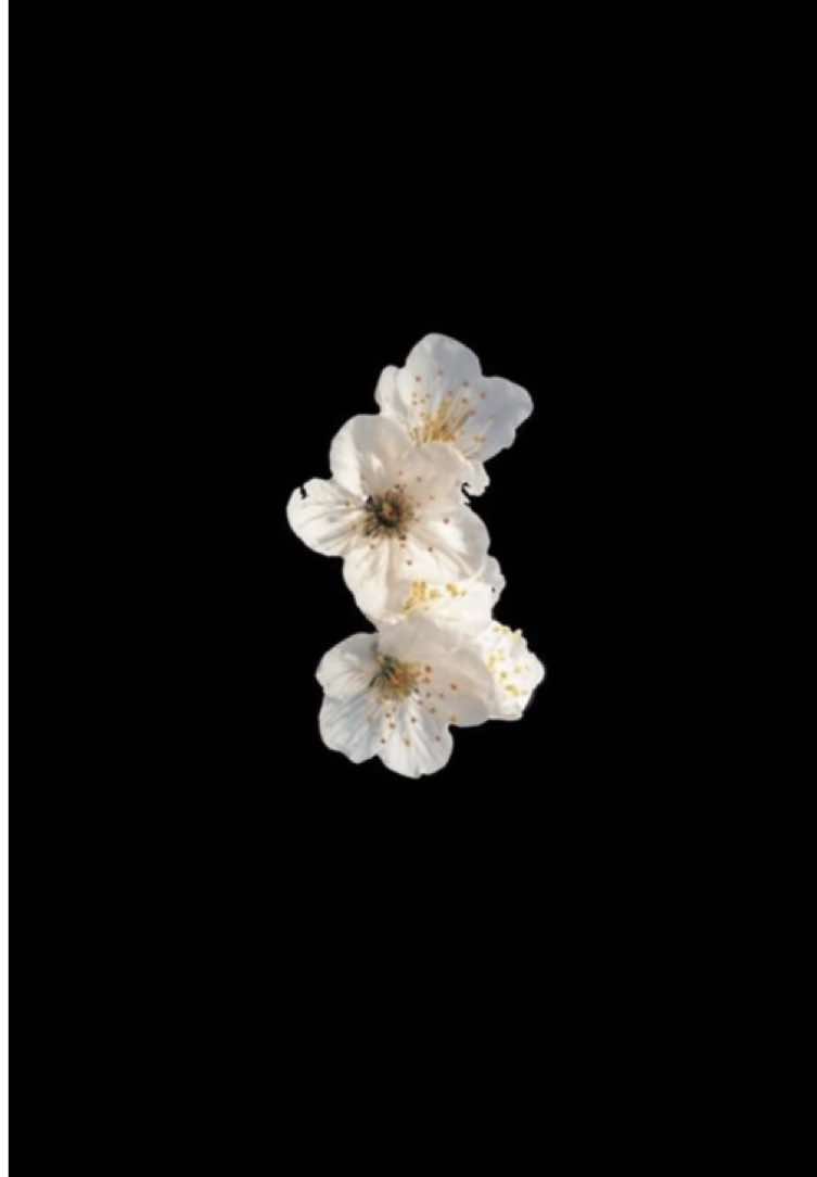 @𝐏𝐨𝐥𝐚'𝐒.𝐬𝐥𝐨𝐩❀