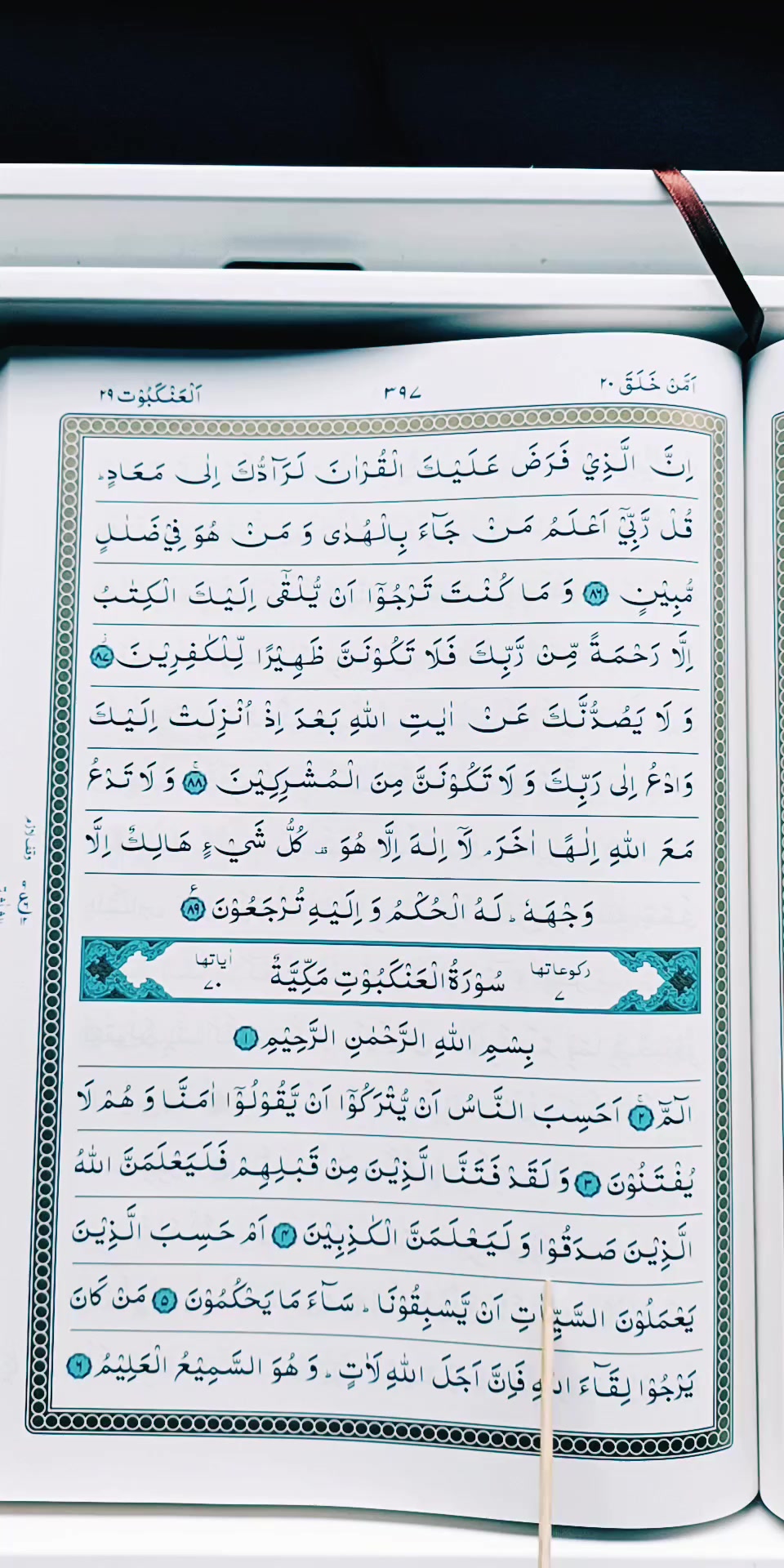 @Quran's Faizan