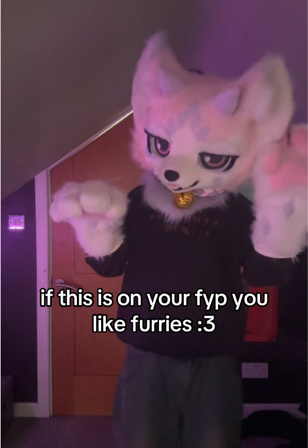 @ray 🐾🌸|-/