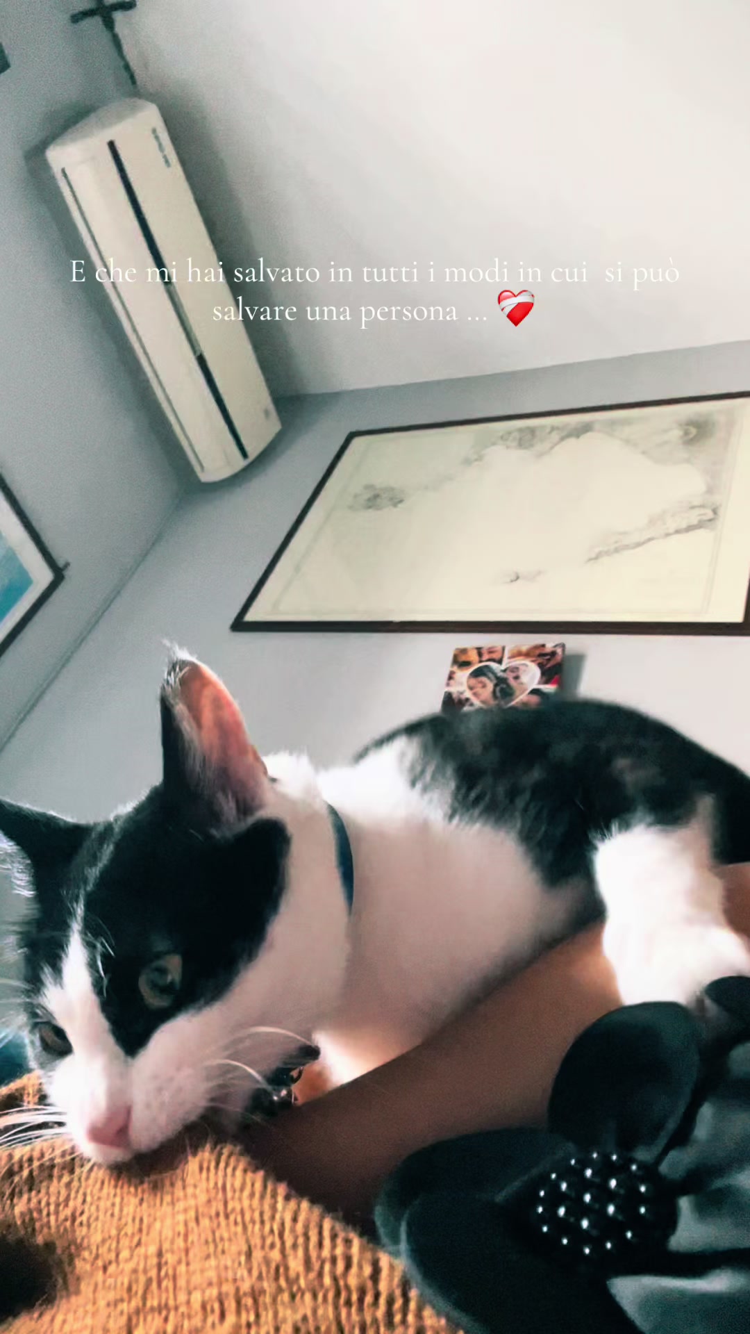 @annaree_27