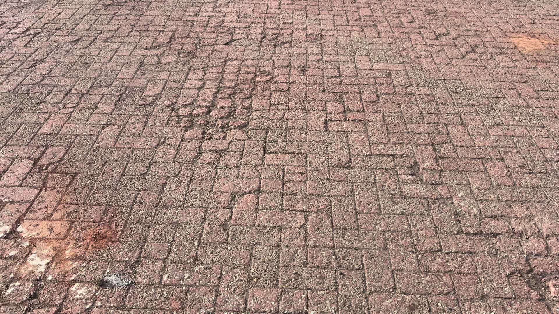 @bigdogmillsv8