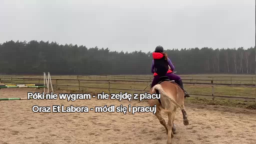 @TA OD KUCYK&Oacute;W🐴🐎
