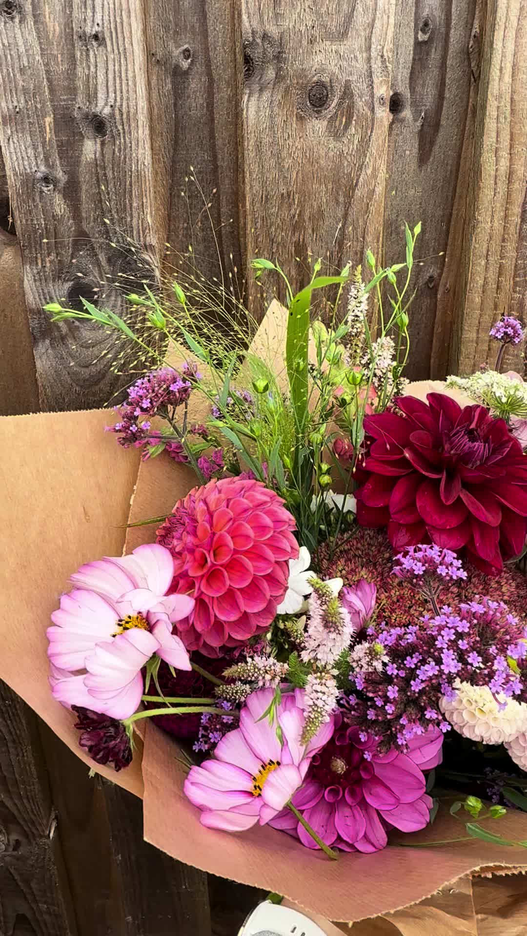 @blossomshed