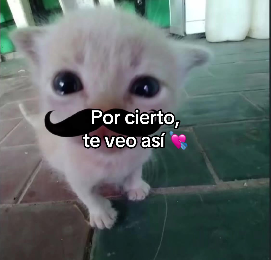 @yramyoliver