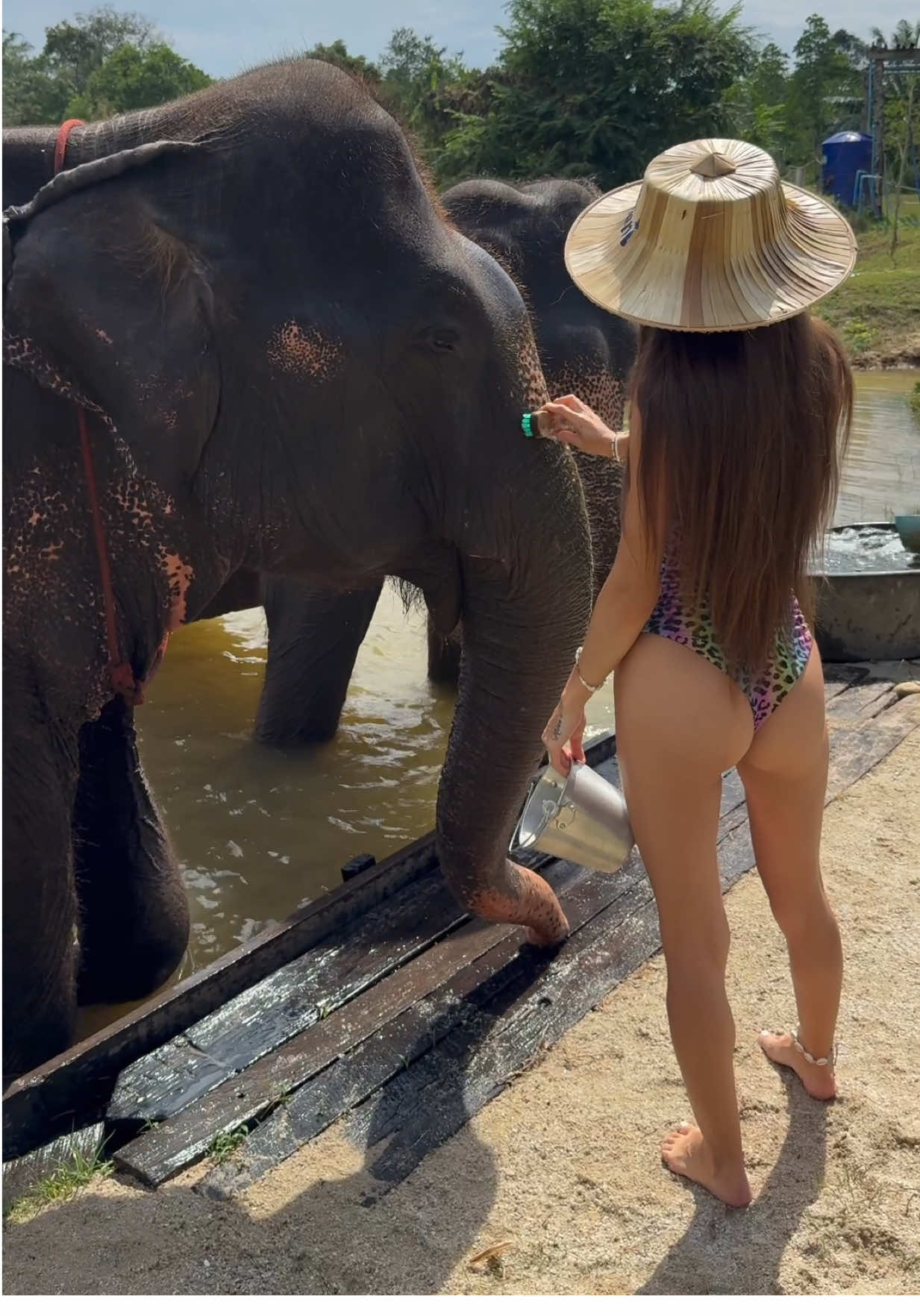 @Kleosko