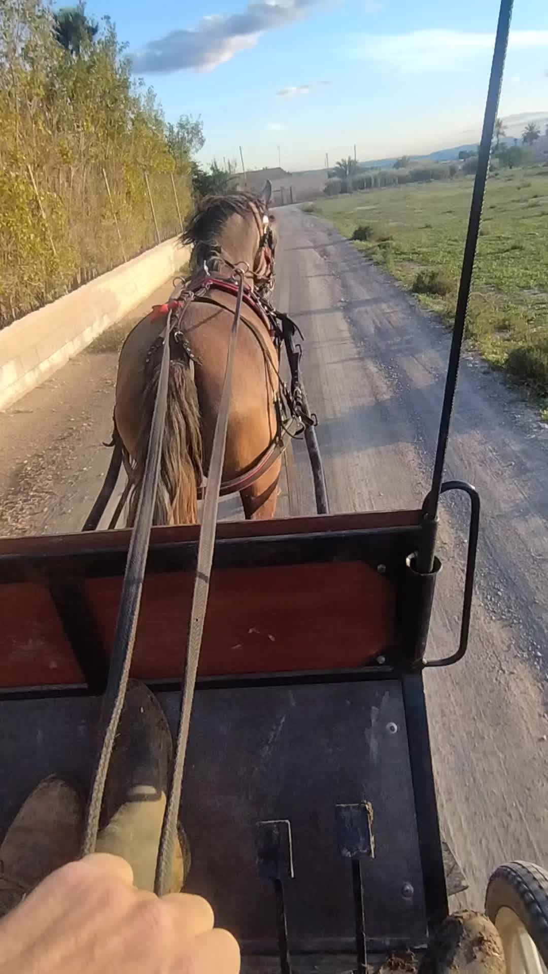 @laferrarilamercedes