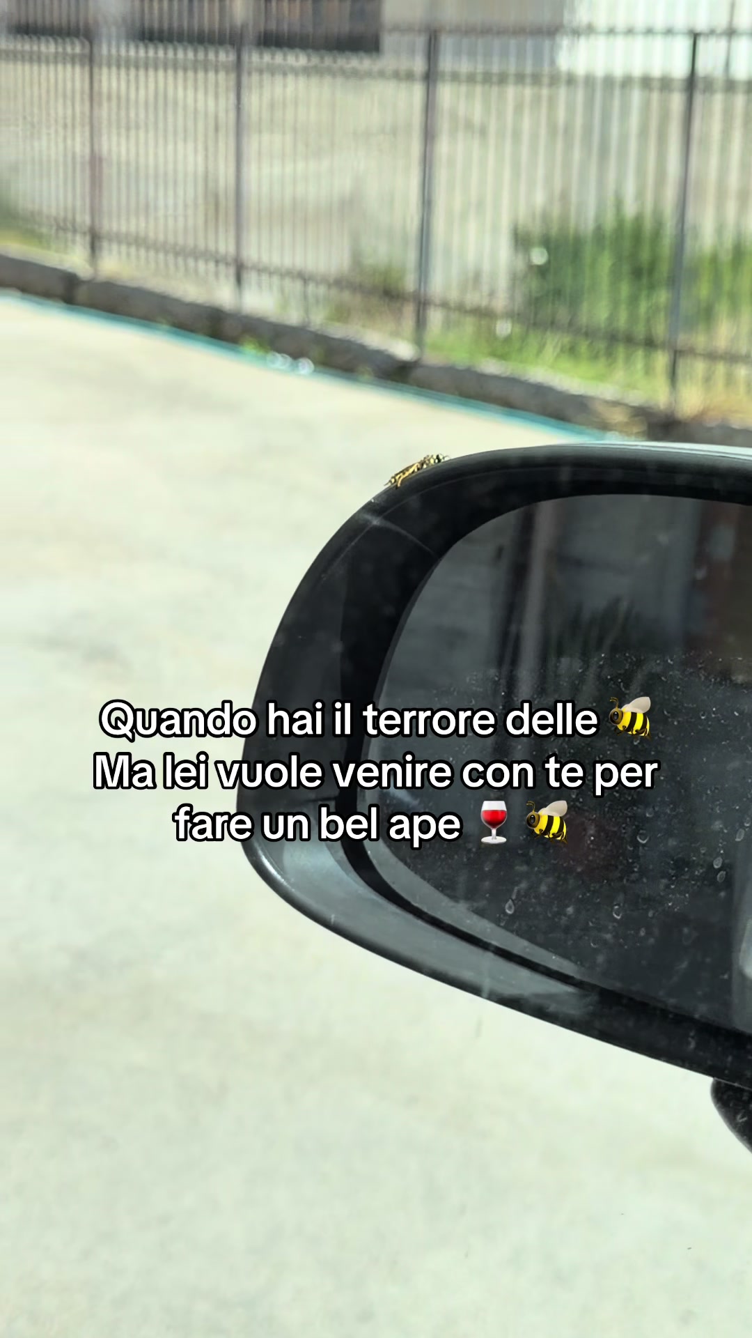 @Lena❤️