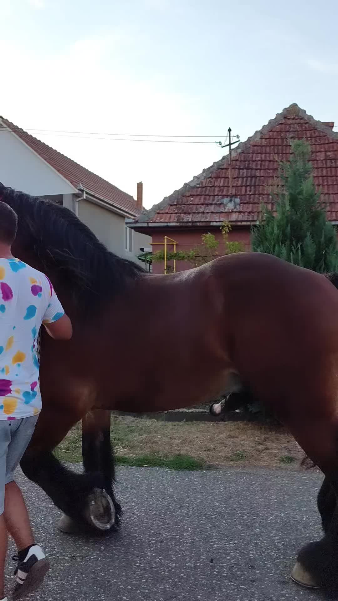 @Andrei Fernye