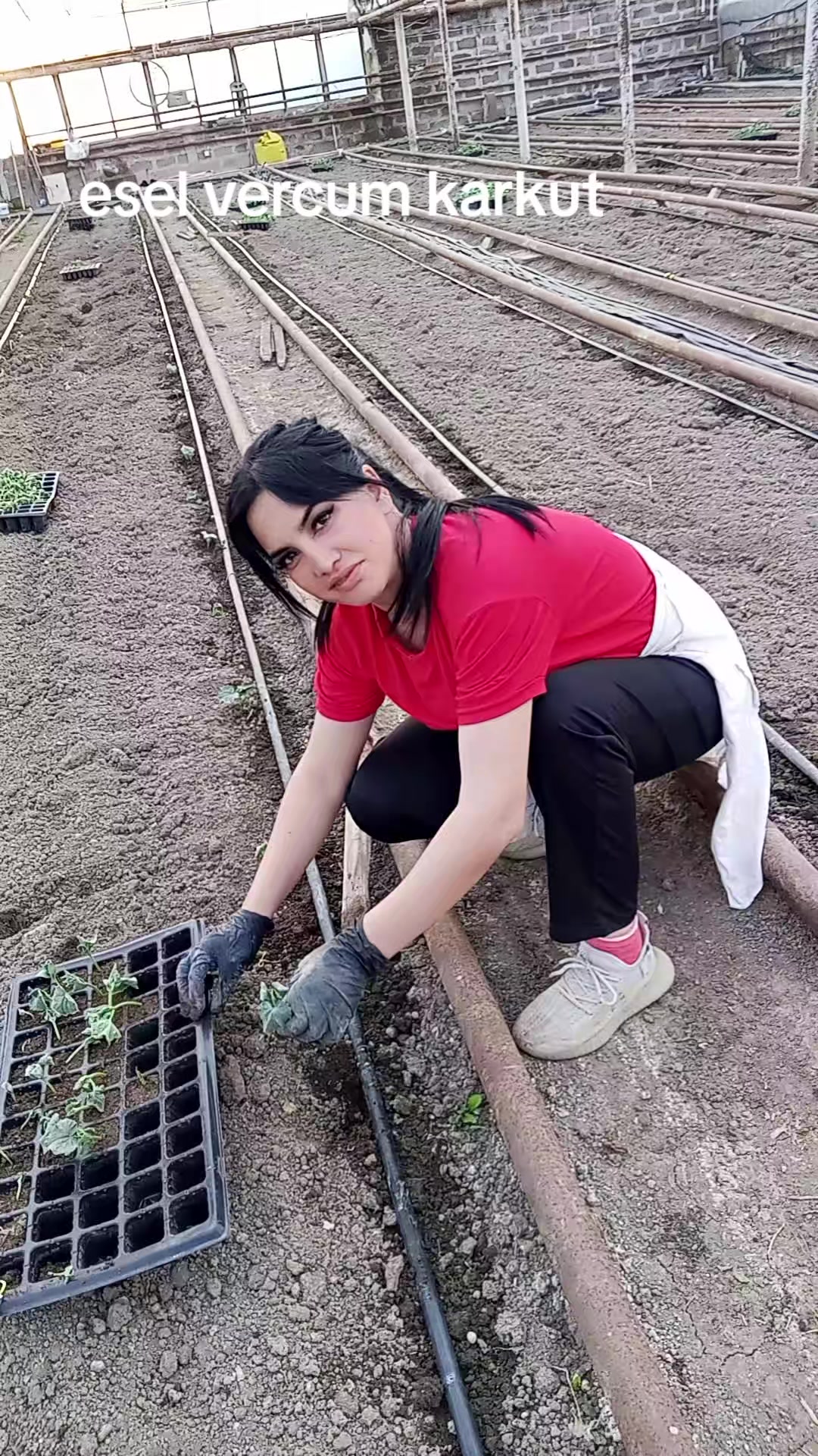 @Meri Sargsyan