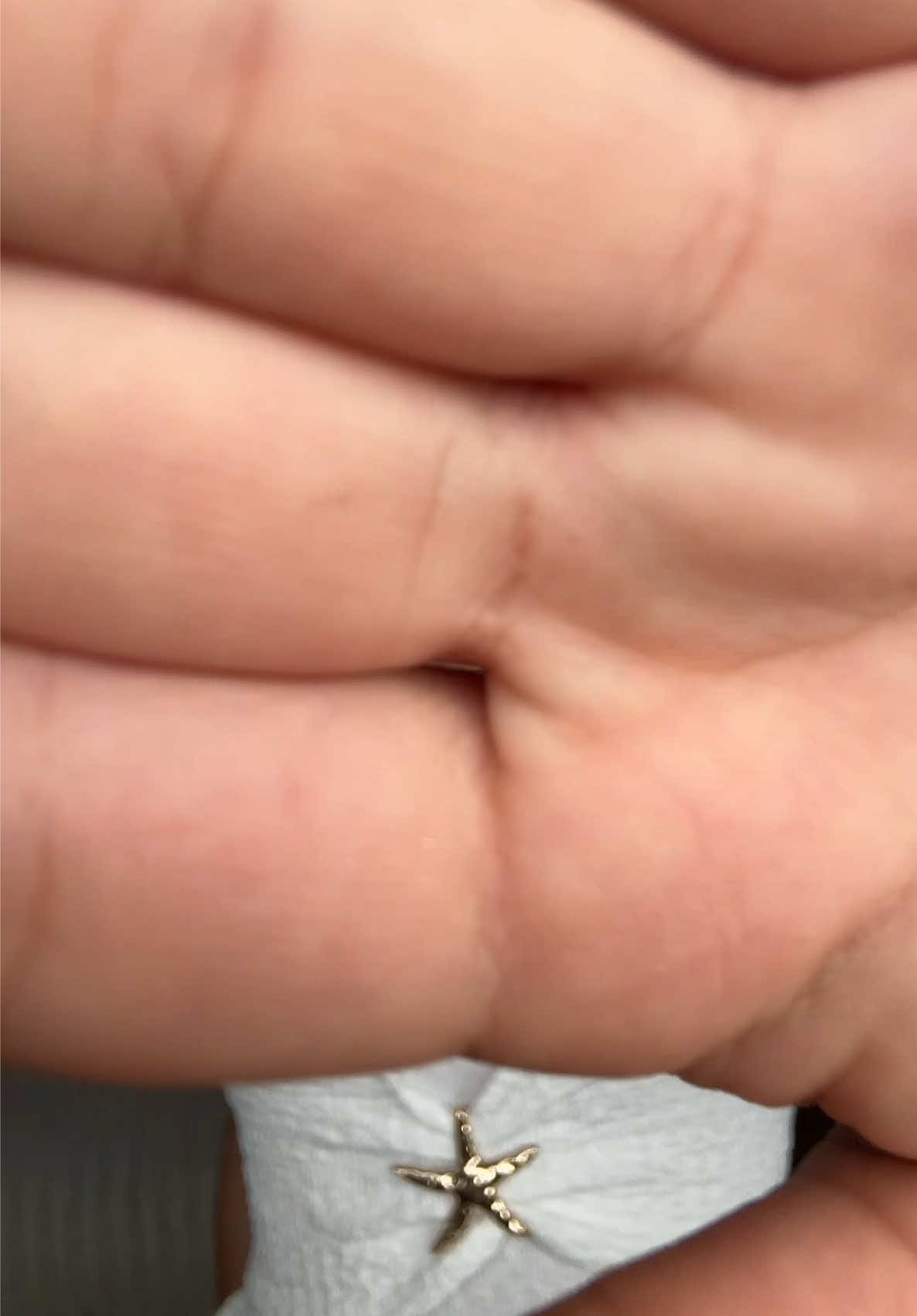 @noorcamachoo