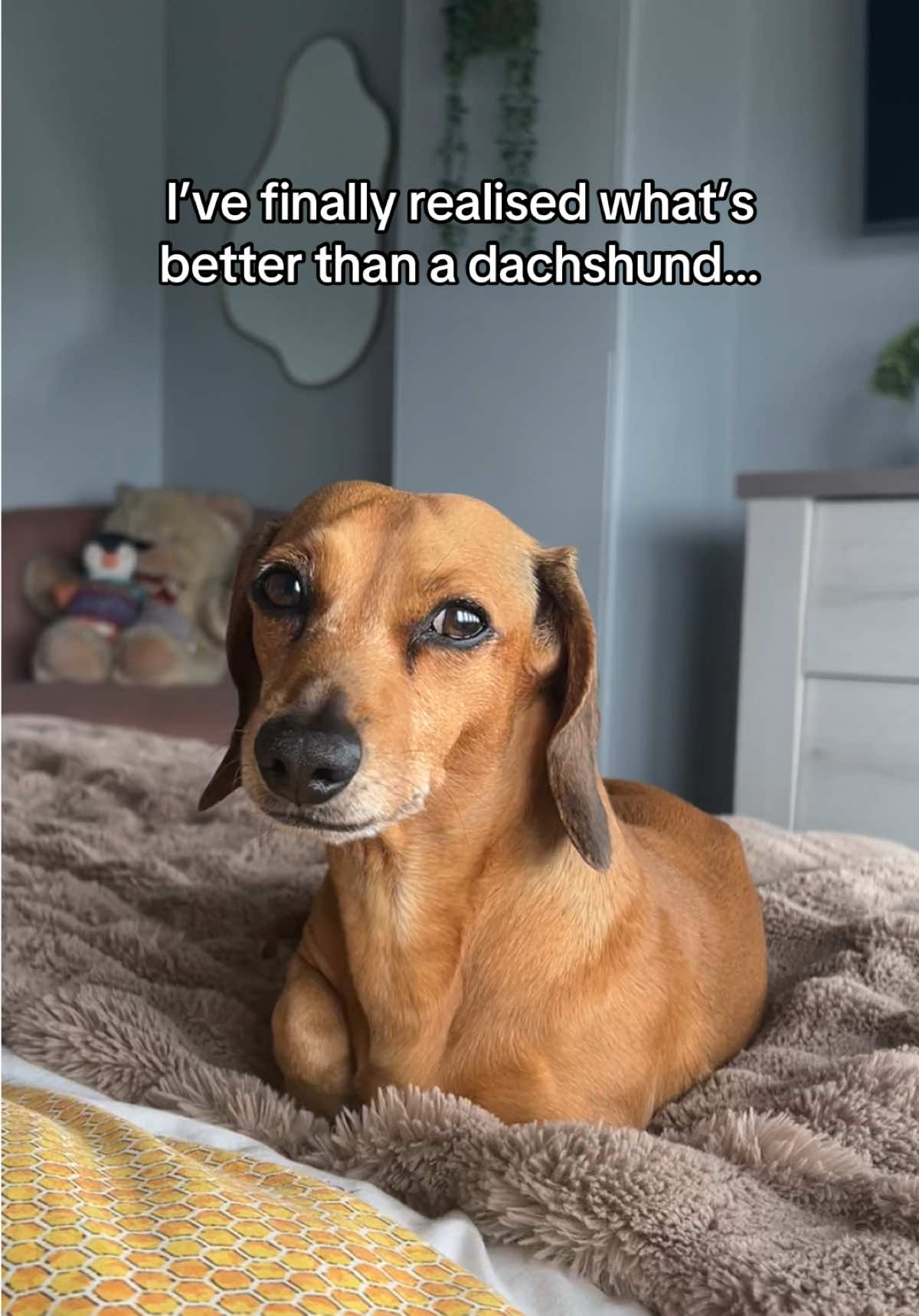 @Rebecca, Pip & Rolo