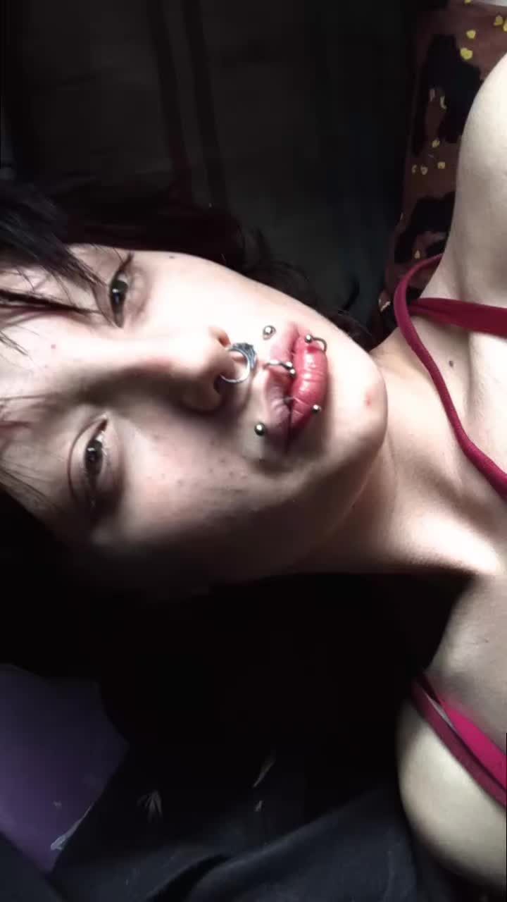 @xo.blxd.stxin.ox