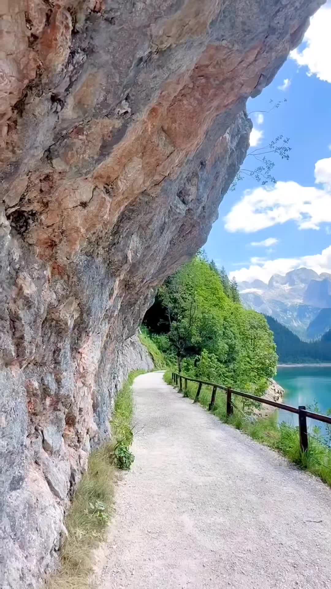 @Lion 🇦🇹