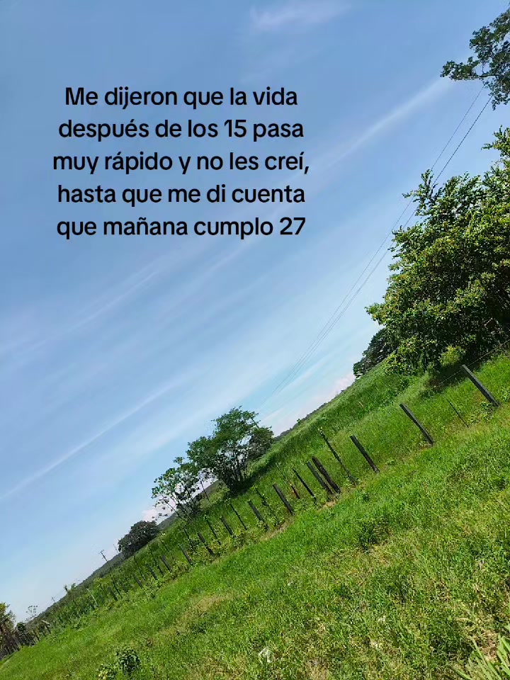 @🌻Ale🦋