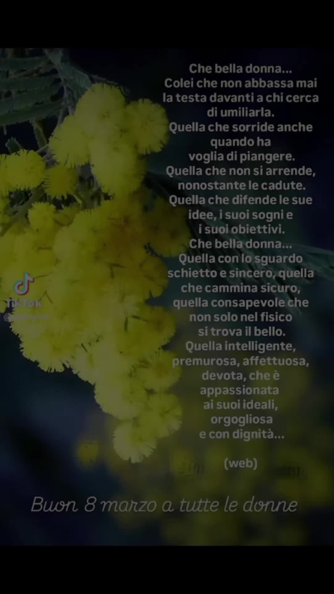 @CATAPANO