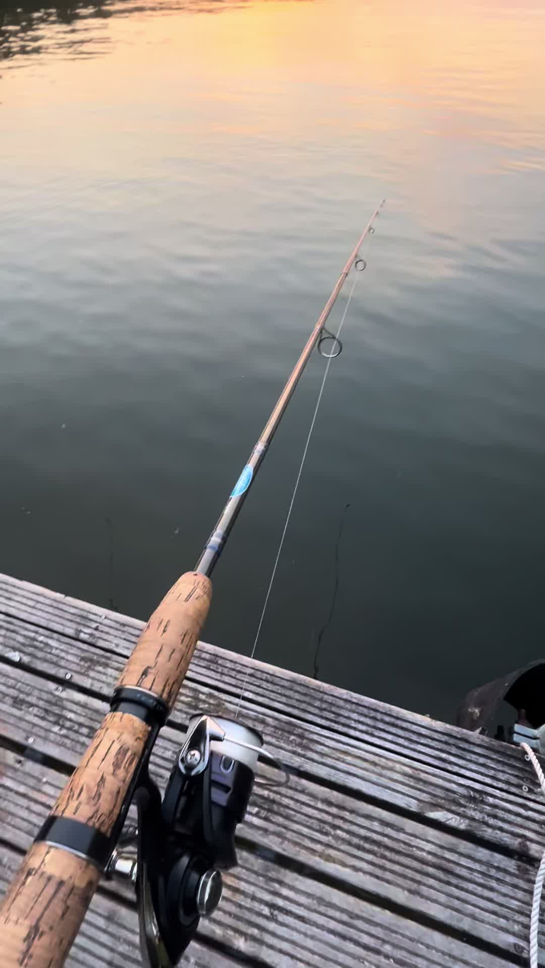 @Fishing w George and Antoni🎣