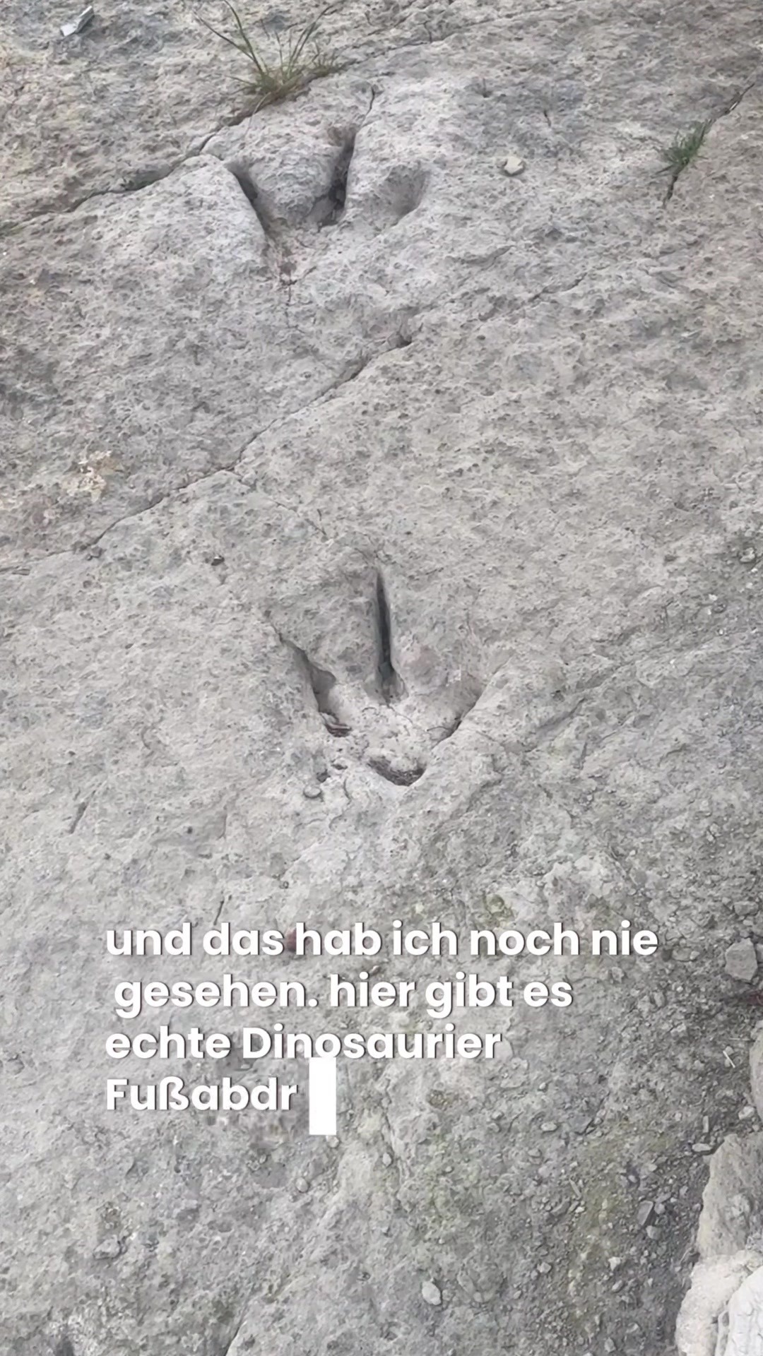 @gembag
