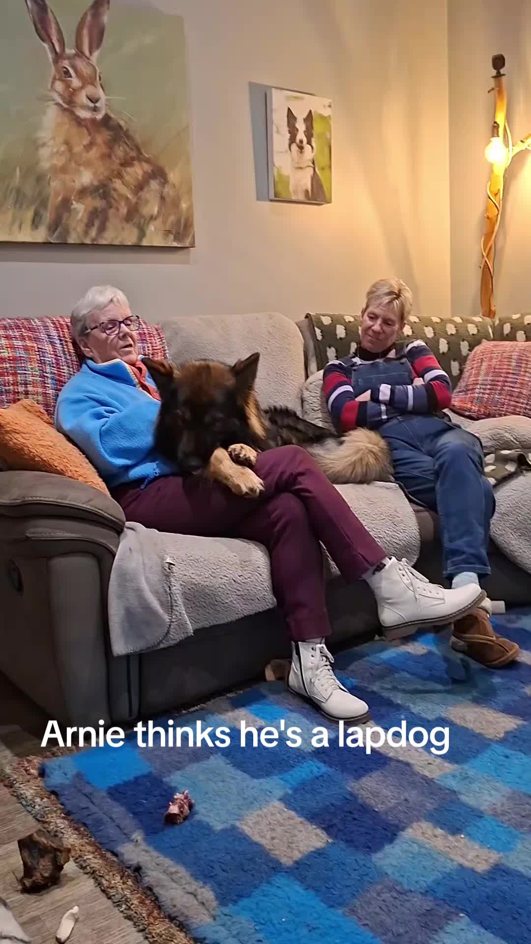 @Arnie 🇪🇺